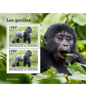 BURUNDI - 2022 - Gorile -...