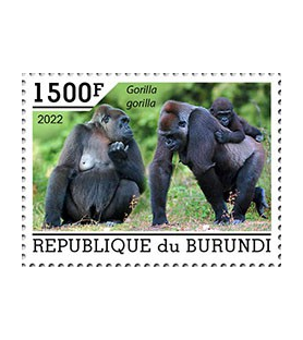 BURUNDI - 2022 - Gorile -...