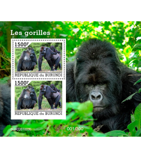 BURUNDI - 2022 - Gorile -...