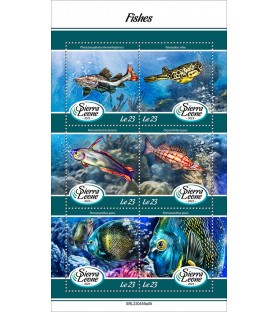 SIERRA LEONE - 2023 -...