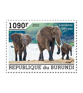 BURUNDI - 2022 - Elefanten...