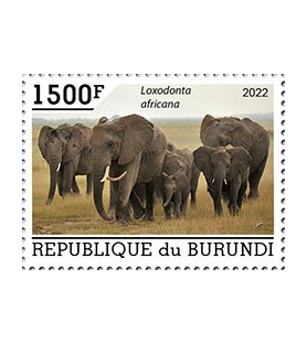 BURUNDI - 2022 - Elefanten...