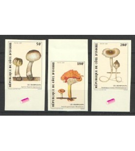 SLONOKOŠČENA OBALA - 1998 -...