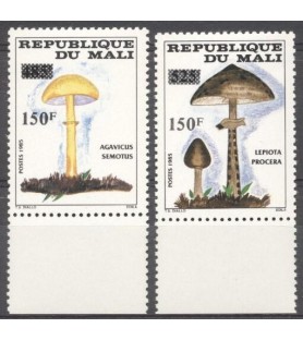 MALI - 1992 - Pilze - Mi...