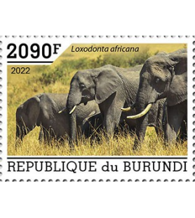 BURUNDI - 2022 - Elefanten...