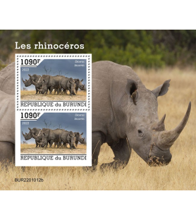 BURUNDI - 2022 - Nashörner...