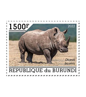 BURUNDI - 2022 - Nashörner...