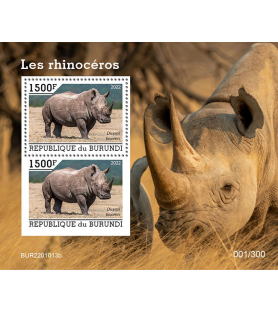 BURUNDI - 2022 - Nashörner...