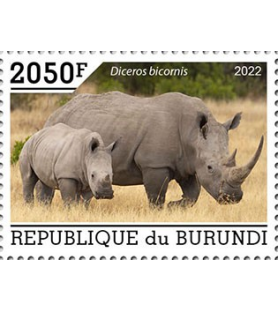BURUNDI - 2022 - Nashörner...