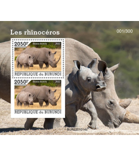 BURUNDI - 2022 - Nashörner...