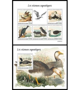 GUINEA - 2023 - Wasservögel...