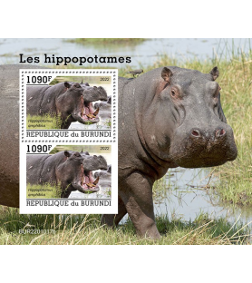 BURUNDI - 2022 - Ippopotamo...
