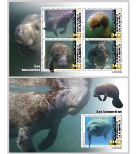 DJIBOUTI - 2023 - Manatees...