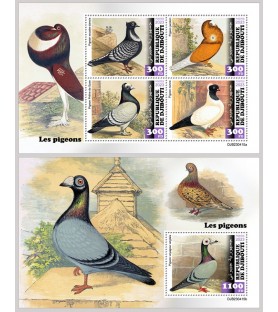DJIBOUTI - 2023 - Pigeons -...