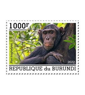 BURUNDI - 2022 - Šimpanzi -...