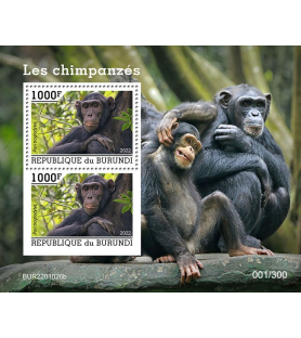 BURUNDI - 2022 - Šimpanzi -...