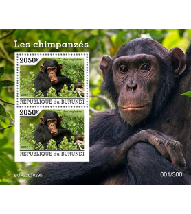 BURUNDI - 2022 - Šimpanzi -...