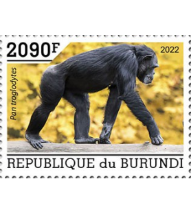 BURUNDI - 2022 - Šimpanzi -...