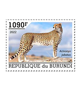 BURUNDI - 2022 - Gepard -...