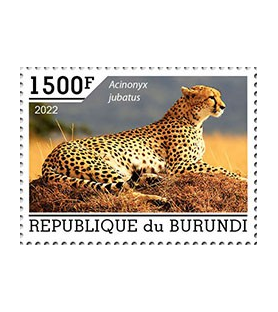 BURUNDI - 2022 - Gepard -...