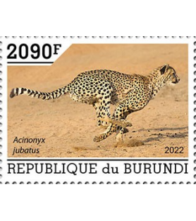 BURUNDI - 2022 - Gepard -...