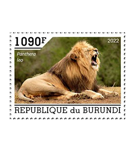 BURUNDI - 2022 - Lion -...