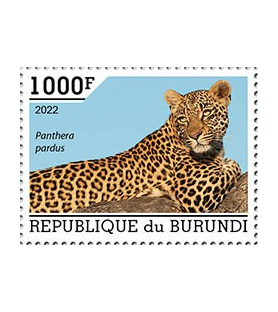 BURUNDI - 2022 - Leopardo -...