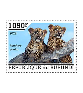 BURUNDI - 2022 - Leopardo -...