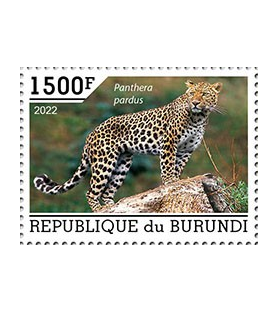 BURUNDI - 2022 - Leopardo -...