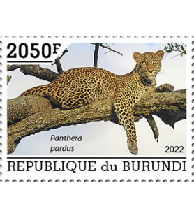 BURUNDI - 2022 - Leopardo -...
