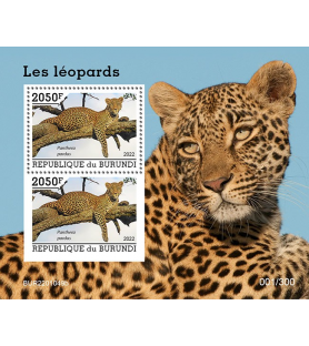 BURUNDI - 2022 - Leopardo -...
