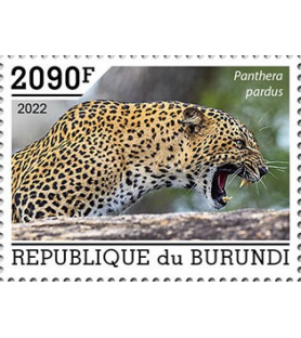 BURUNDI - 2022 - Leopardo -...