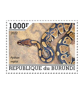 BURUNDI - 2022 - Schlangen...