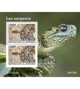 BURUNDI - 2022 - Schlangen...
