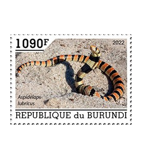 BURUNDI - 2022 - Schlangen...