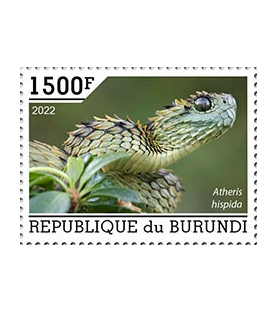 BURUNDI - 2022 - Schlangen...