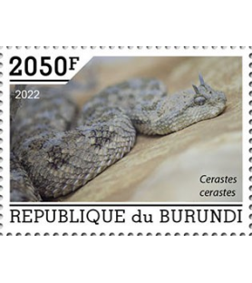 BURUNDI - 2022 - Schlangen...