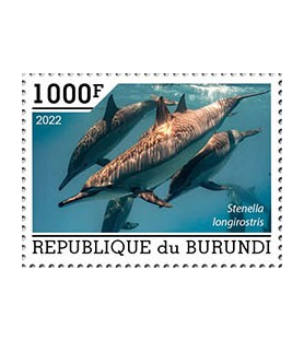 BURUNDI - 2022 - Dolphin -...
