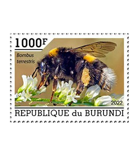BURUNDI - 2022 - Čebele -...