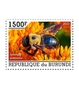 BURUNDI - 2022 - Čebele -...