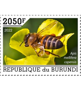 BURUNDI - 2022 - Čebele -...