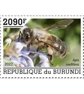 BURUNDI - 2022 - Čebele -...