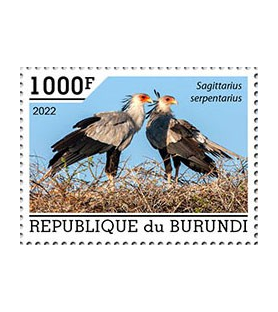 BURUNDI - 2022 - Uccelli...