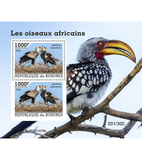 BURUNDI - 2022 - Uccelli...