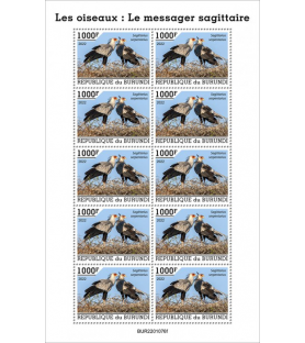 BURUNDI - 2022 - Uccelli...