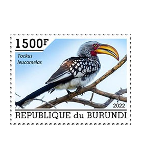 BURUNDI - 2022 - Uccelli...