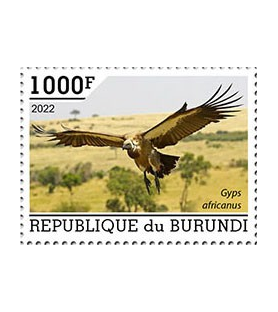 BURUNDI - 2022 - Uccelli...