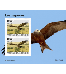 BURUNDI - 2022 - Uccelli...