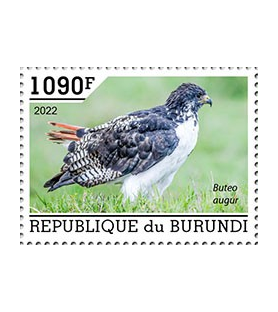 BURUNDI - 2022 - Uccelli...