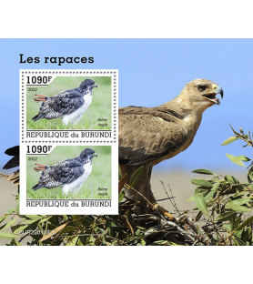 BURUNDI - 2022 - Uccelli...
